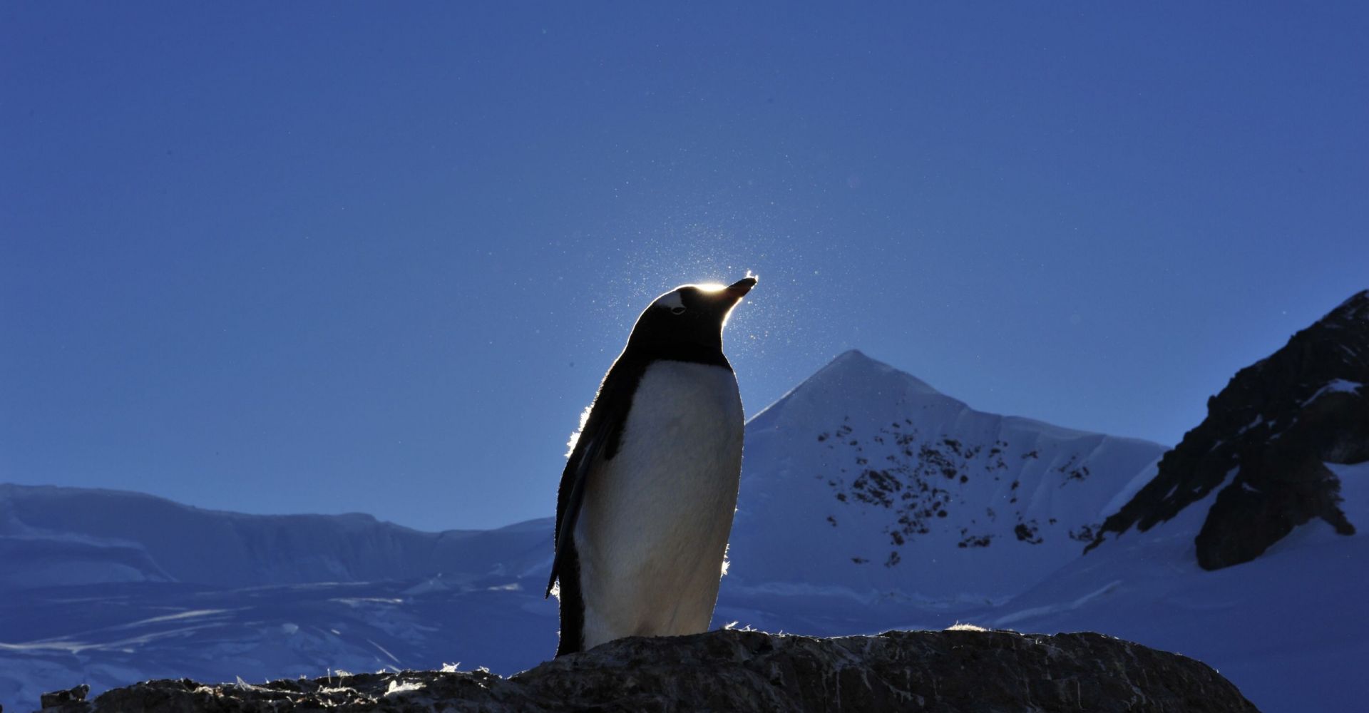 DSC6783 Andreas Driza DSC6783 Andreas Driza